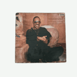 stevie-wonder-in-square-circle-front.png