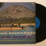 BlueHawaiiWoutSteenhuisUsedVinylLPRecord_image0_1695647480895.jpg