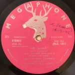 NatiBinodiniVariousUsedVinylLPRecord_image0_1693752199131.png