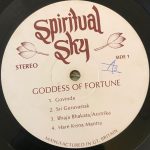 GoddessOfFortuneGoddessOfFortuneUsedVinylLPRecord_image0_1696607123914.jpg