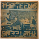 TheTeensTheTeensUsedVinylLPRecord_image0_1696432675840.jpg