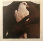 Santana's Greatest Hits - Santana Used Vinyl LP Record Japanese Pressing