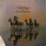 AgainstTheWindBobSegerAndTheSilverBulletBandUsedVinylLPRecord_image0_1704291691168.jpg
