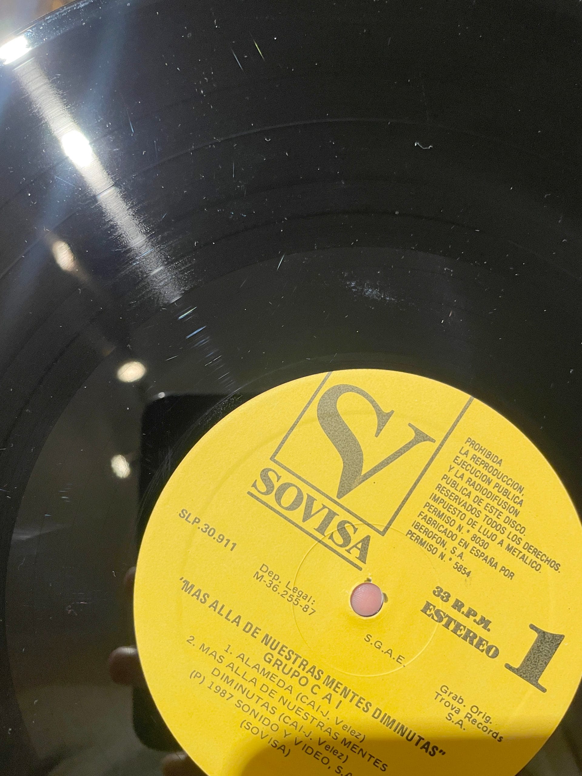 4 vinyl VGP scaled 1