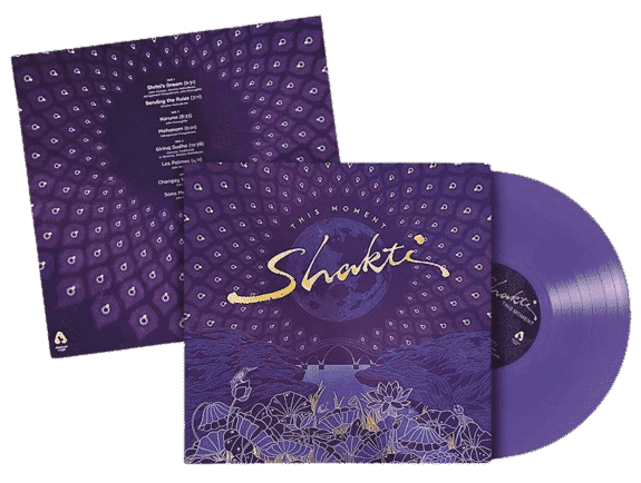 Purple Vinyl Collector | Vinyl Records