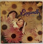 SugandhFragranceOfLoveBappiLahiriUsedVinylLPRecordVG_image0_1713353851517.jpg