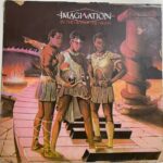 In The Heat Of The Night - Imagination Used Vinyl LP Record (VG+)