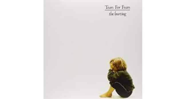 Tears For Fears – The Hurting Vinyl Record