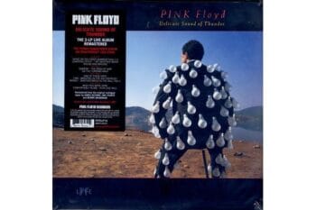 Pink Floyd – Delicate Sound Of Thunder (2 Lp) Vinyl Record