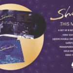 ThisMomentShaktiVinylLPRecord2xLPPurpleVinylCollectorsEdition_image3_1696404148811