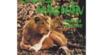 Ananda Shankar - Sa-Re-Ga Machan