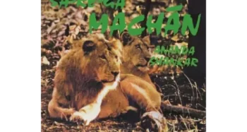 Ananda Shankar - Sa-Re-Ga Machan