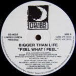 Feel What I Feel / High And Mighty - Bigger Than Life - LP - Pre Owned Vinyl (Arrives in 14days)