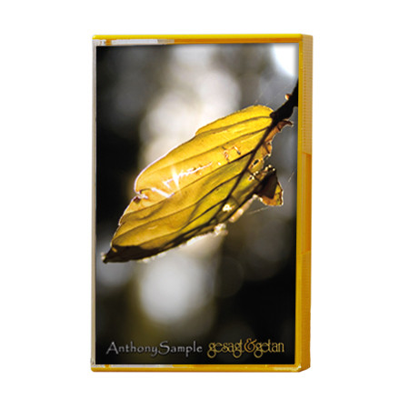 Gesagt &amp; Getan - Anthony Sample - Audio Cassette - Pre Owned Cassettes (Arrives in 14days)