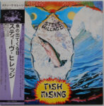Fish Rising - Steve Hillage - LP - Pre Owned Vinyl (Arrives in 14days)
