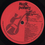 Street Experience Volume #2 - DJ Disciple - LP - Pre Owned Vinyl (Arrives in 14days)