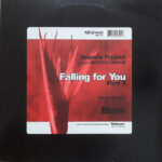 Falling For You (Part II) - Ananda Project* Featuring Terrance Downs - LP - Pre Owned Vinyl (Arrives in 14days)