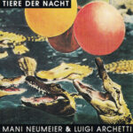 Hot Stuff - Tiere Der Nacht - Audio CD - Pre Owned CDs (Arrives in 14days)