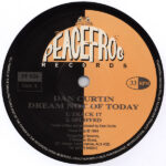 Dream Not Of Today - Dan Curtin - LP - Pre Owned Vinyl (Arrives in 14days)
