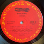 Mi01ODgxLmpwZWc.jpeg