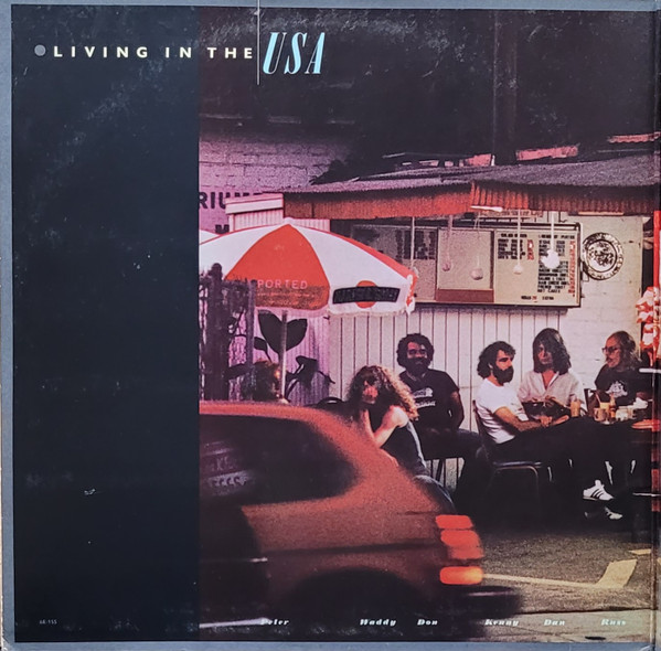 Living In The USA - Linda Ronstadt - LP - Pre Owned Vinyl (Arrives in 21days)