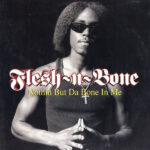 Nothin But Da Bone In Me - Flesh-N-Bone - LP - Pre Owned Vinyl (Arrives in 21days)