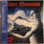 Shakin' Brains - Silver Mountain - LP - Pre Owned Vinyl (Arrives in 21days)