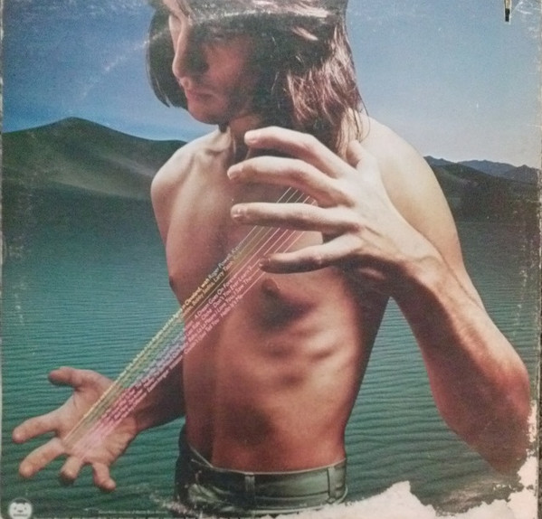 Back To The Bars - Todd Rundgren - LP - Pre Owned Vinyl (Arrives in 21days)