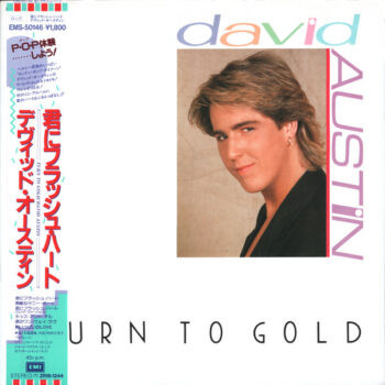Turn To Gold - David Austin - LP - Pre Owned Vinyl (Arrives in 21days)