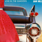 Love In The Shadow - Dan Hill - LP - Pre Owned Vinyl (Arrives in 21days)