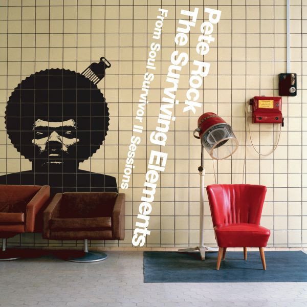 The Surviving Elements - Pete Rock - Audio CD - Pre Owned CDs (Arrives in 14days)