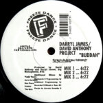 Buddah / It's Gettin' Bigger - Darryl James / David Anthony Project* - LP - Pre Owned Vinyl (Arrives in 14days)