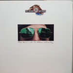 Takin' It To The Streets - The Doobie Brothers - LP - Pre Owned Vinyl (Arrives in 21days)