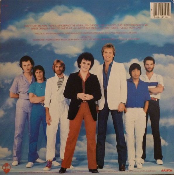 The One That You Love - Air Supply - LP - Pre Owned Vinyl (Arrives in 21days)