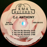 You Are My Starship - C.J. Anthony - LP - Pre Owned Vinyl (Arrives in 14days)