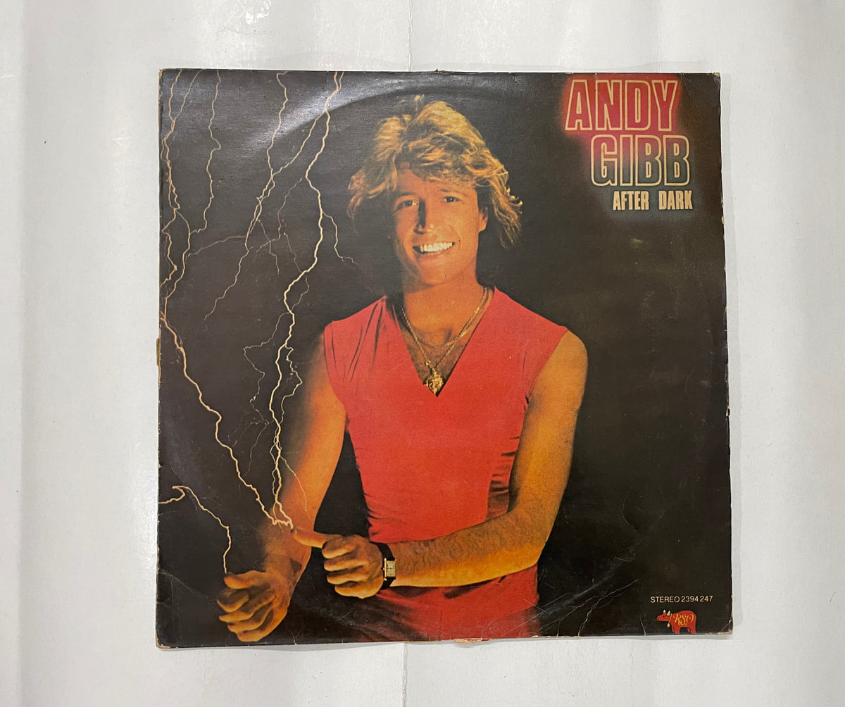 After Dark - Andy Gibb Used Vinyl LP Record