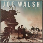 You Bought It - You Name It - Joe Walsh - LP - Pre Owned Vinyl (Arrives in 21days)