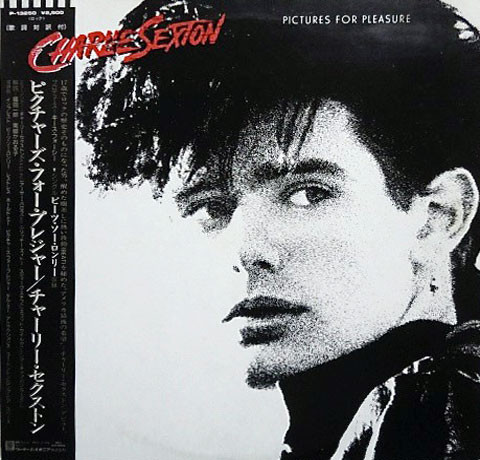 Pictures For Pleasure - Charlie Sexton - LP - Pre Owned Vinyl (Arrives in 21days)