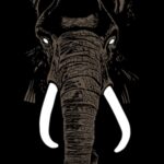 Don't Buy Ivory Anymore! - The Music Of Henri Texier - Palm Unit - LP - Brand New Vinyl (Arrives in 20days)