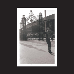 Open The Gates - Irreversible Entanglement - LP - Brand New Vinyl (Arrives in 20days)