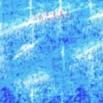 If We Stayed Alive - 12 Rods - LP - Brand New Vinyl (Arrives in 20days)