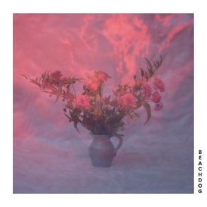 Beachdog - Beachdog - LP - Brand New Vinyl (Arrives in 20days)