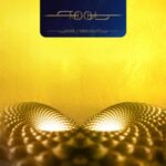 Fear Inoculum - Tool - LP - Brand New Vinyl (Arrives in 20days)