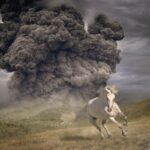 Year Of The Dark Horse - White Buffalo - LP - Brand New Vinyl (Arrives in 20days)