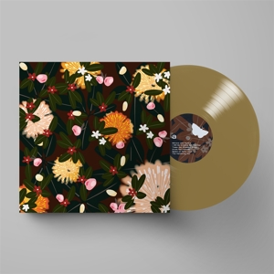 Noise Floor (rarities 1998-2005) - Bright Eyes - LP - Brand New Vinyl (Arrives in 20days)