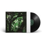 Birdbrain - Buffalo Tom - LP - Brand New Vinyl (Arrives in 20days)