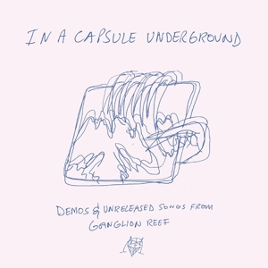 In A Capsule Underground - Wand - LP - Brand New Vinyl (Arrives in 20days)