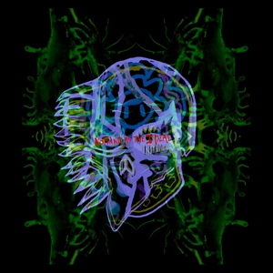 Nothing As The Ideal - All Them Witches - LP - Brand New Vinyl (Arrives in 20days)