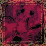 Blues For The Red Sun - Kyuss - LP - Brand New Vinyl (Arrives in 20days)