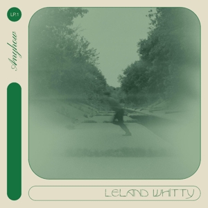 Anyhow - Whitty, Leland - LP - Brand New Vinyl (Arrives in 20days)
